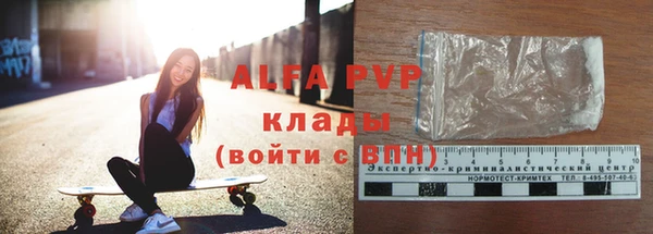 молекула духа Каменногорск