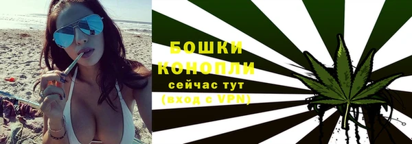 молекула духа Каменногорск