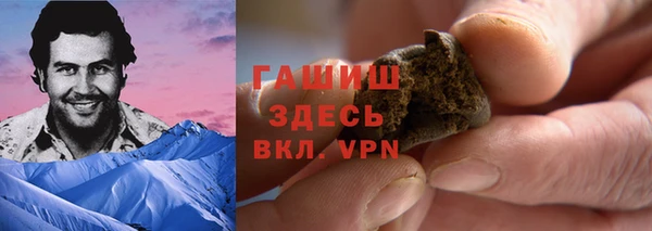 молекула духа Каменногорск