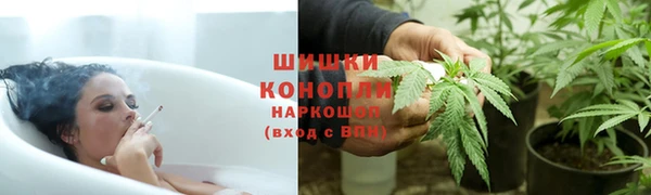 молекула духа Каменногорск