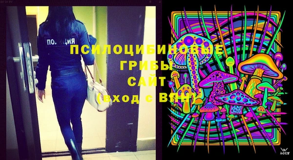 МДПВ Каменск-Шахтинский