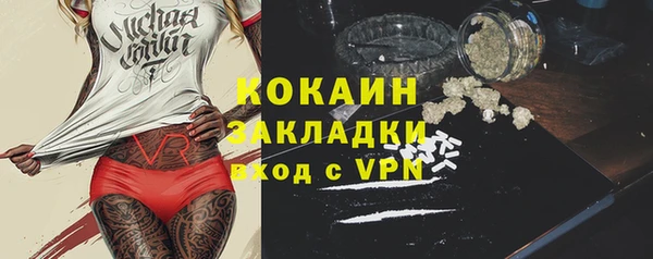 молекула духа Каменногорск
